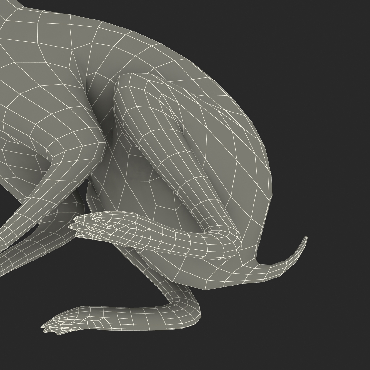 3D Rabbit Pose 3 model