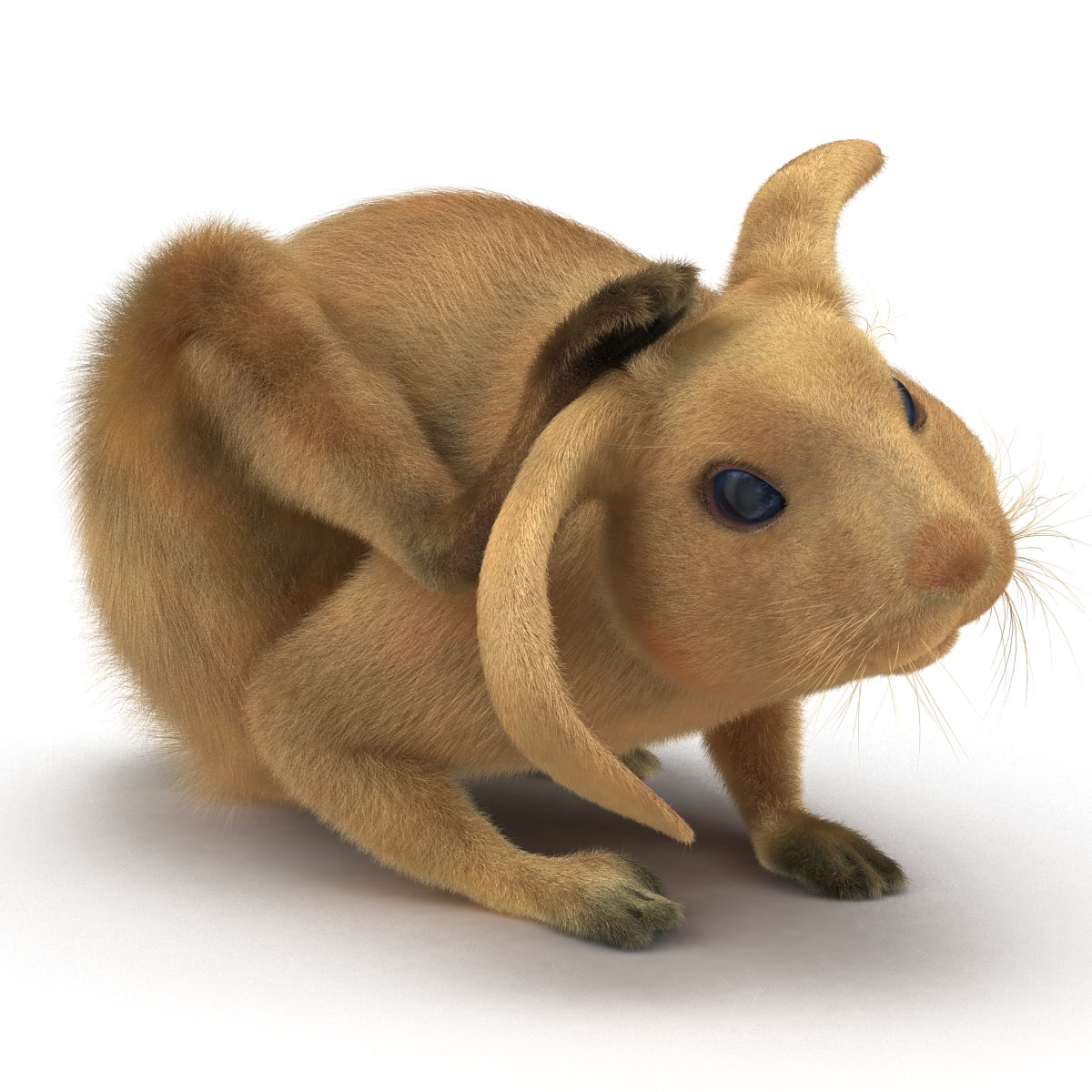 3D Rabbit Pose 4 model