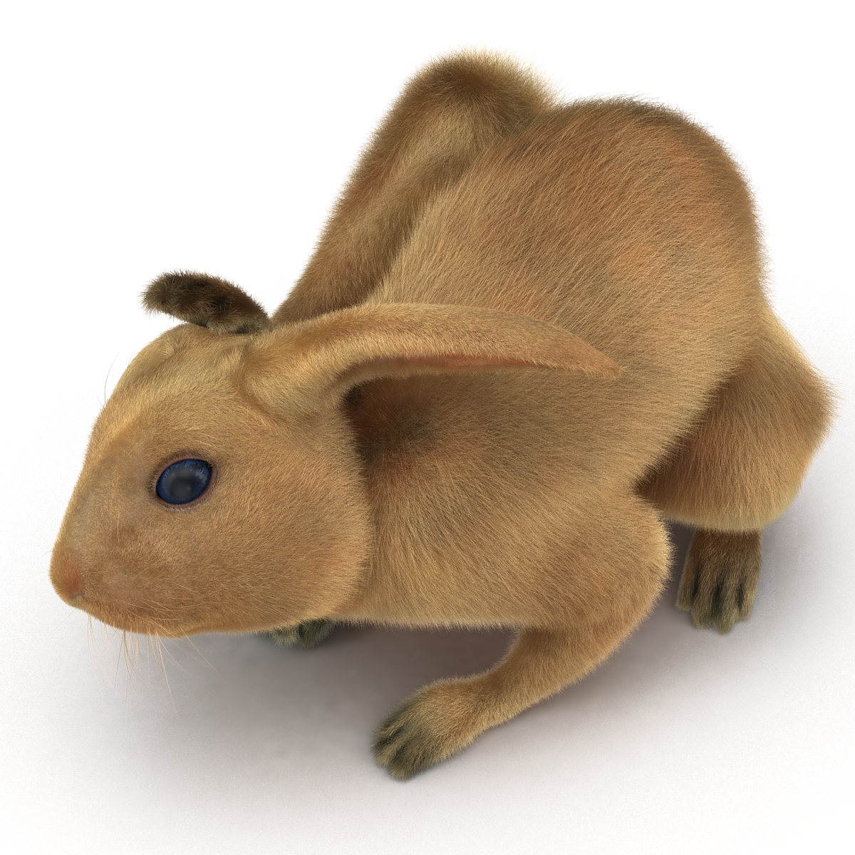 3D Rabbit Pose 4 model