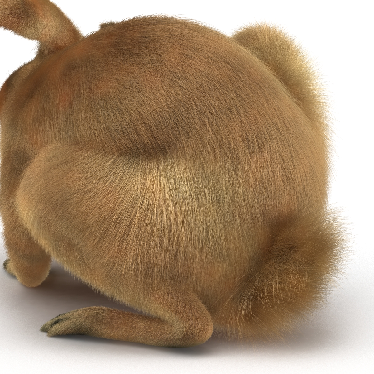 3D Rabbit Pose 4 model