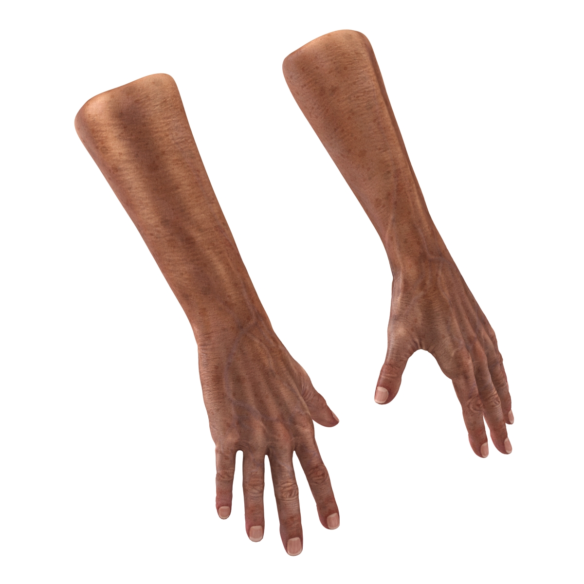 3D Old Man Hands model