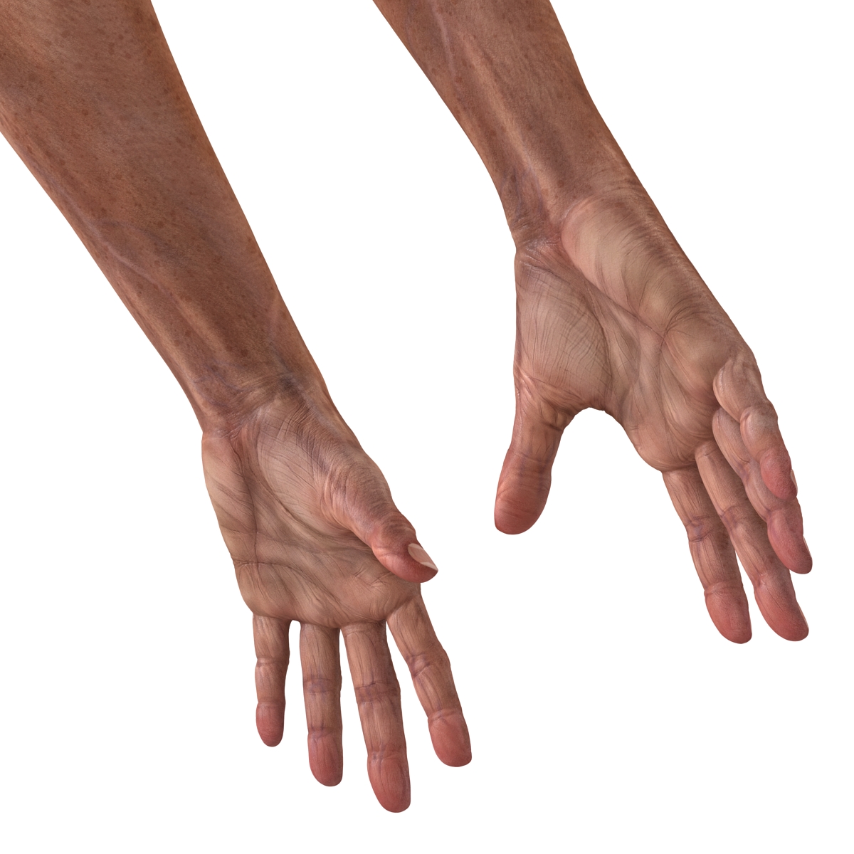 3D Old Man Hands model