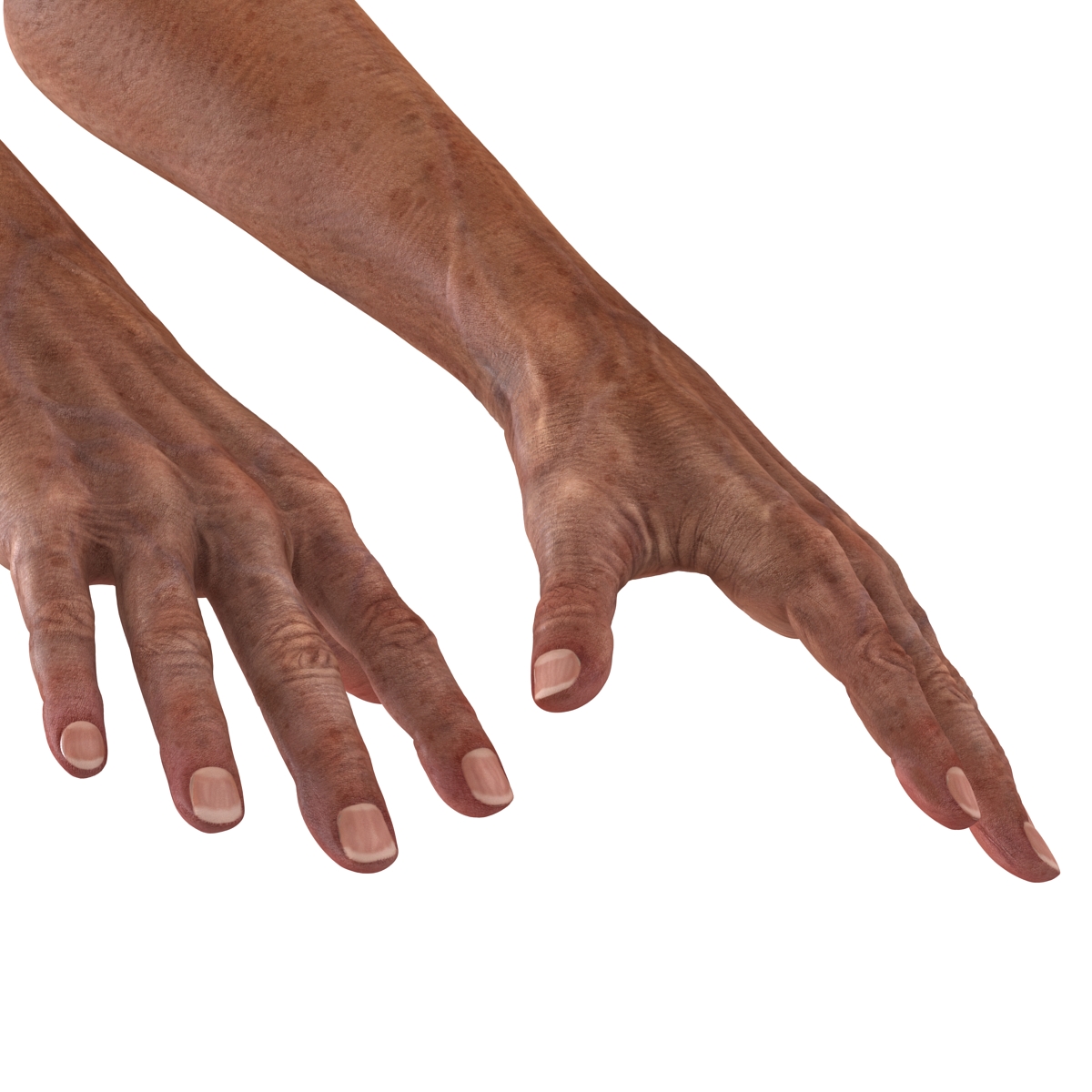 3D Old Man Hands model