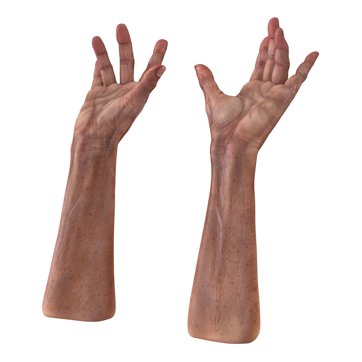 3D model Old Man Hands Rigged