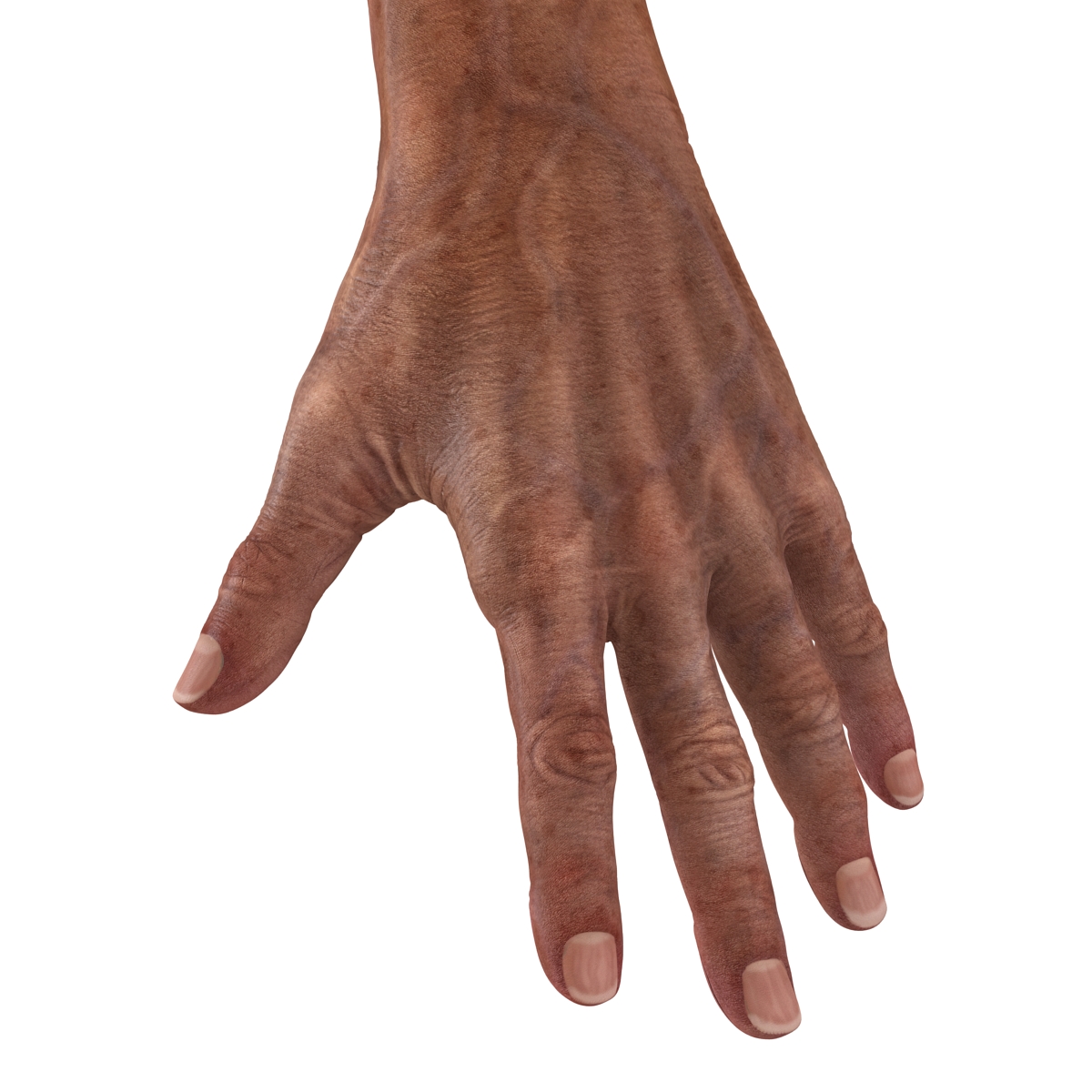 3D model Old Man Hands Rigged