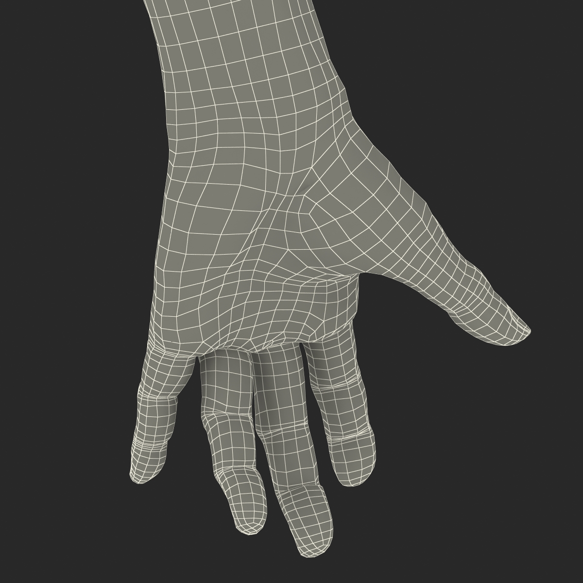 3D model Old Man Hands Rigged