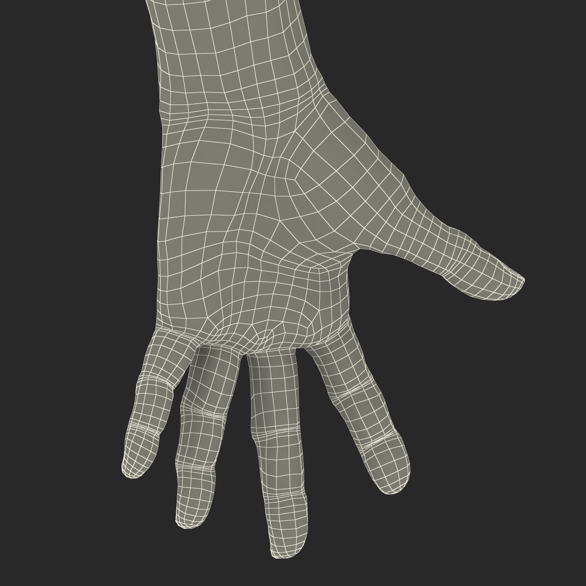 3D model Old Man Hands Rigged