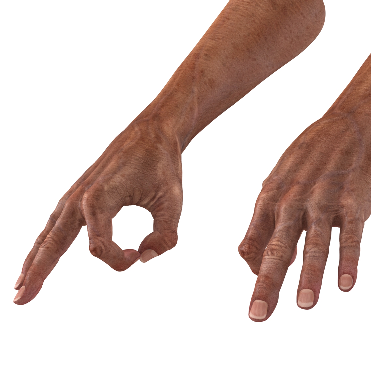 3D model Old Man Hands Pose 5