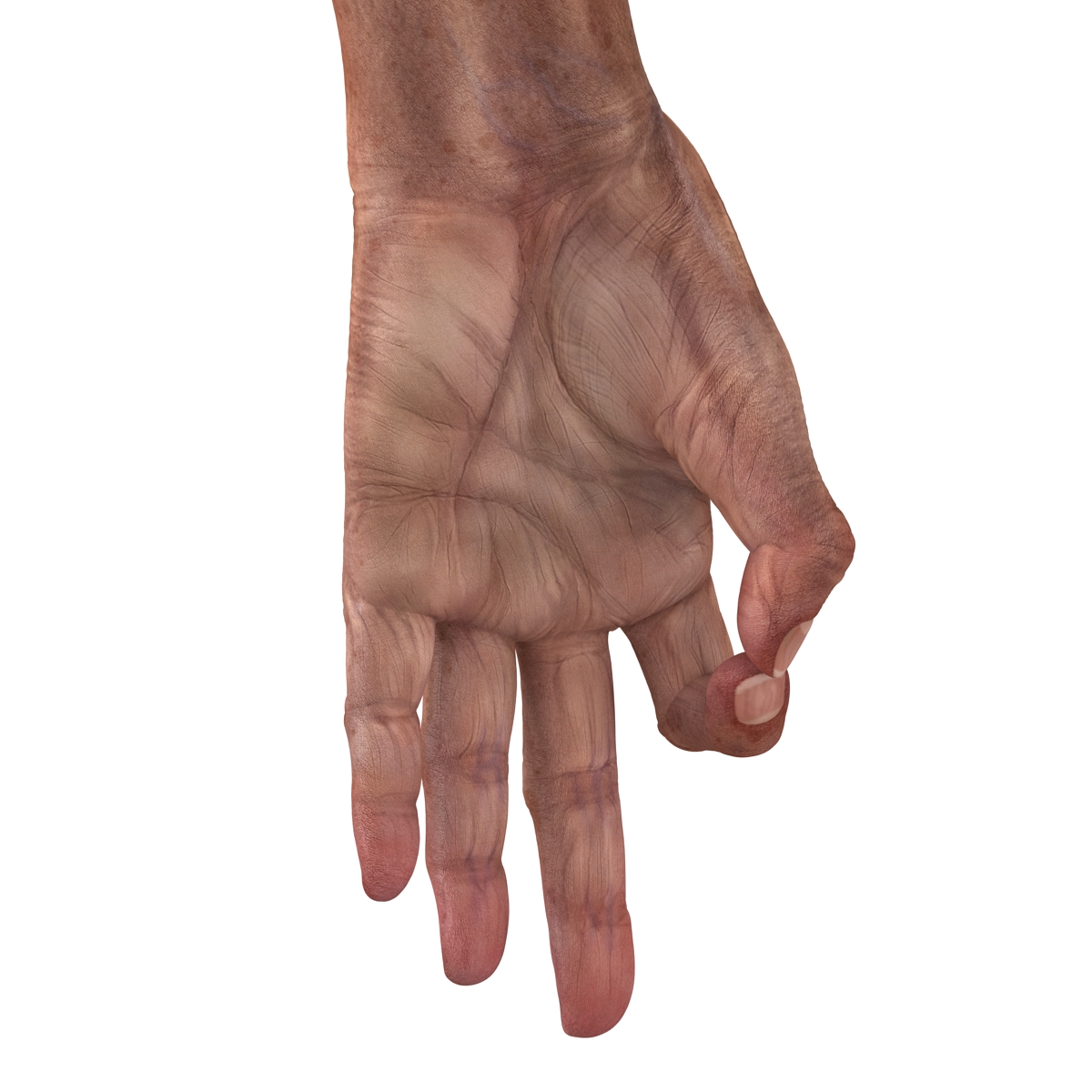 3D model Old Man Hands Pose 5