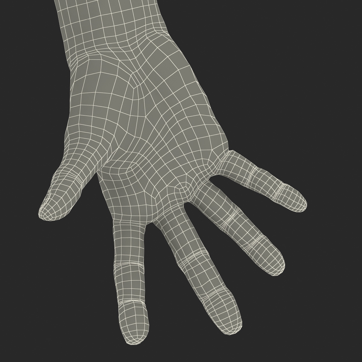 3D model Old Man Hands Pose 4