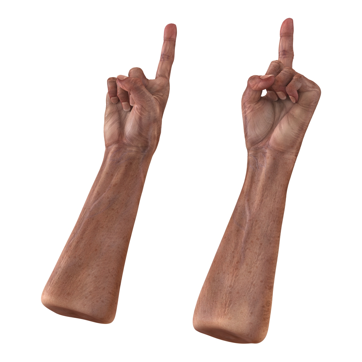 3D model Old Man Hands Pose 2