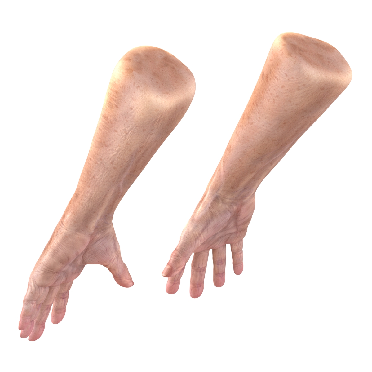 3D model Old Man Hands 3