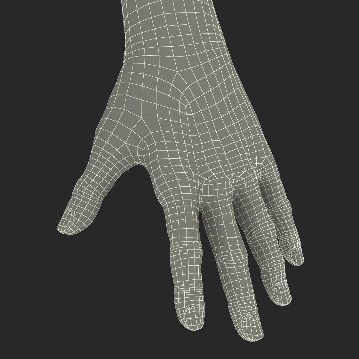 3D model Old Man Hands 3