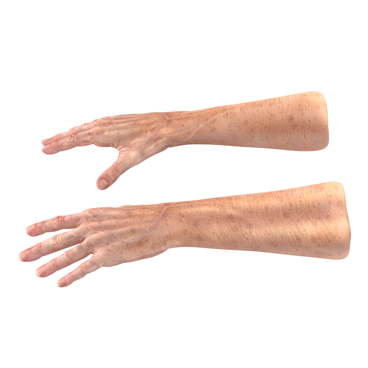 Old Man Hands 3 Rigged 3D