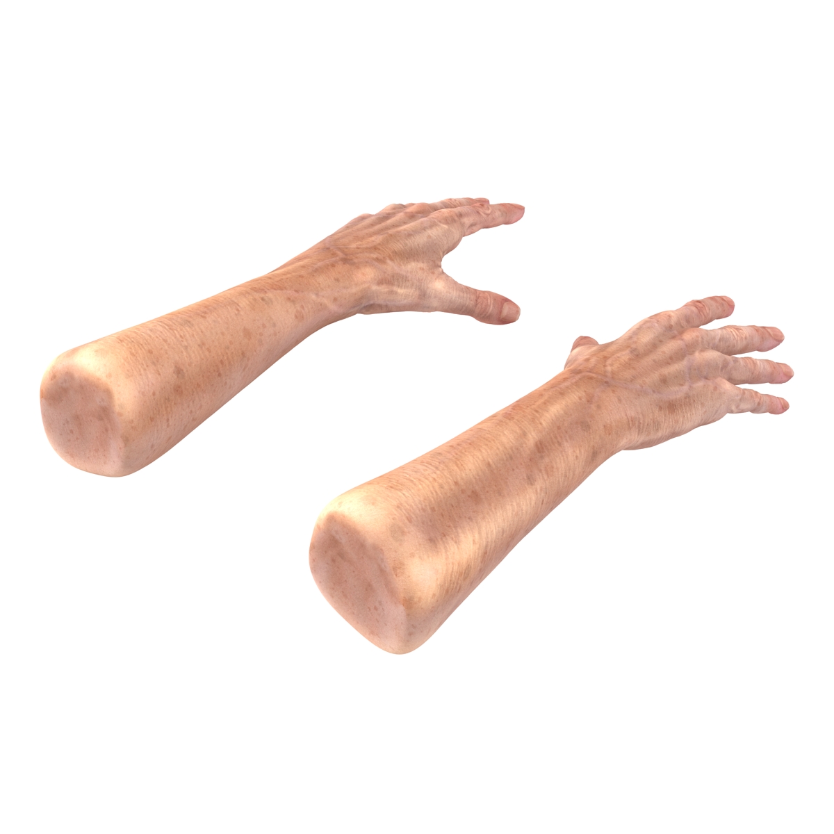 Old Man Hands 3 Rigged 3D