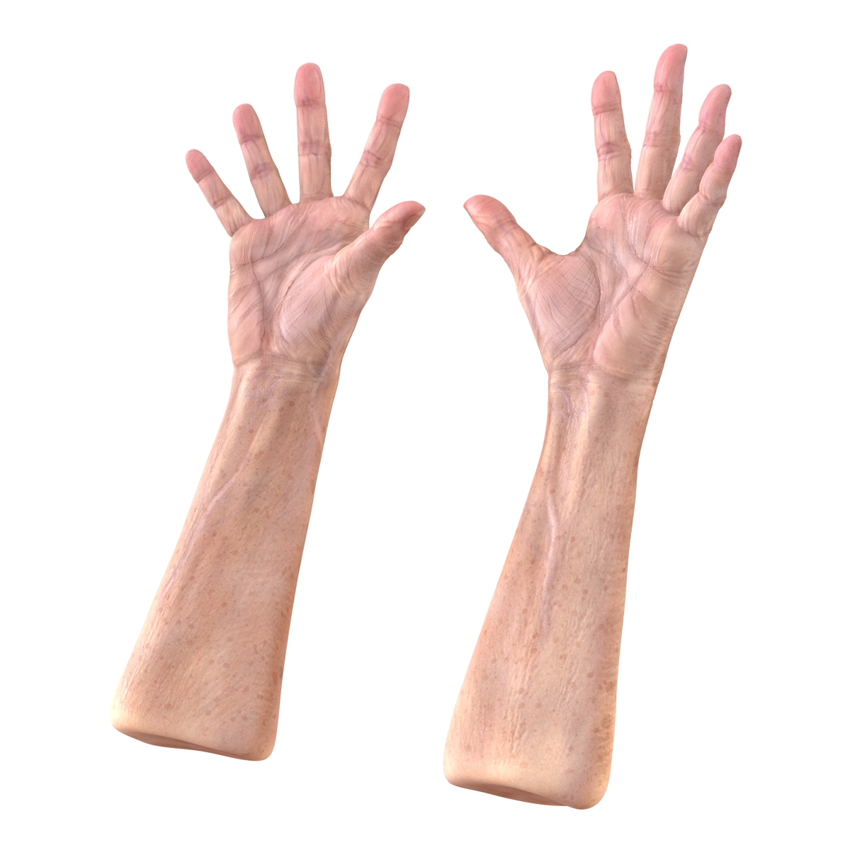 Old Man Hands 3 Rigged 3D