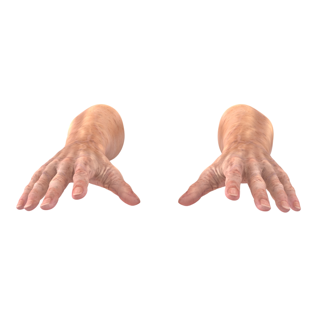 Old Man Hands 3 Rigged 3D