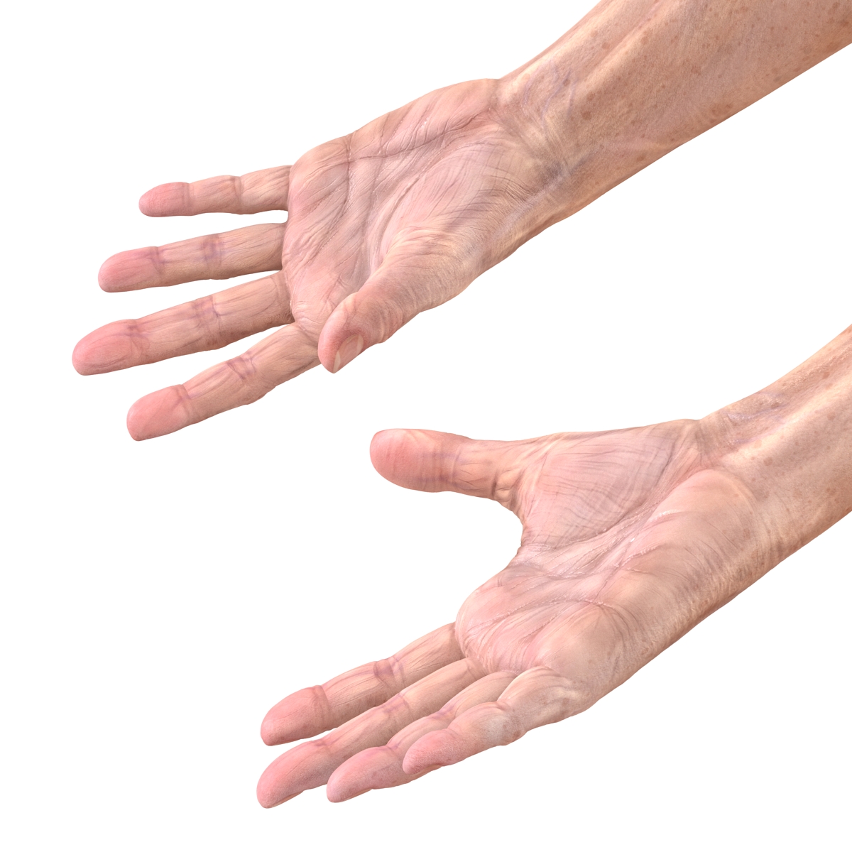 Old Man Hands 3 Rigged 3D