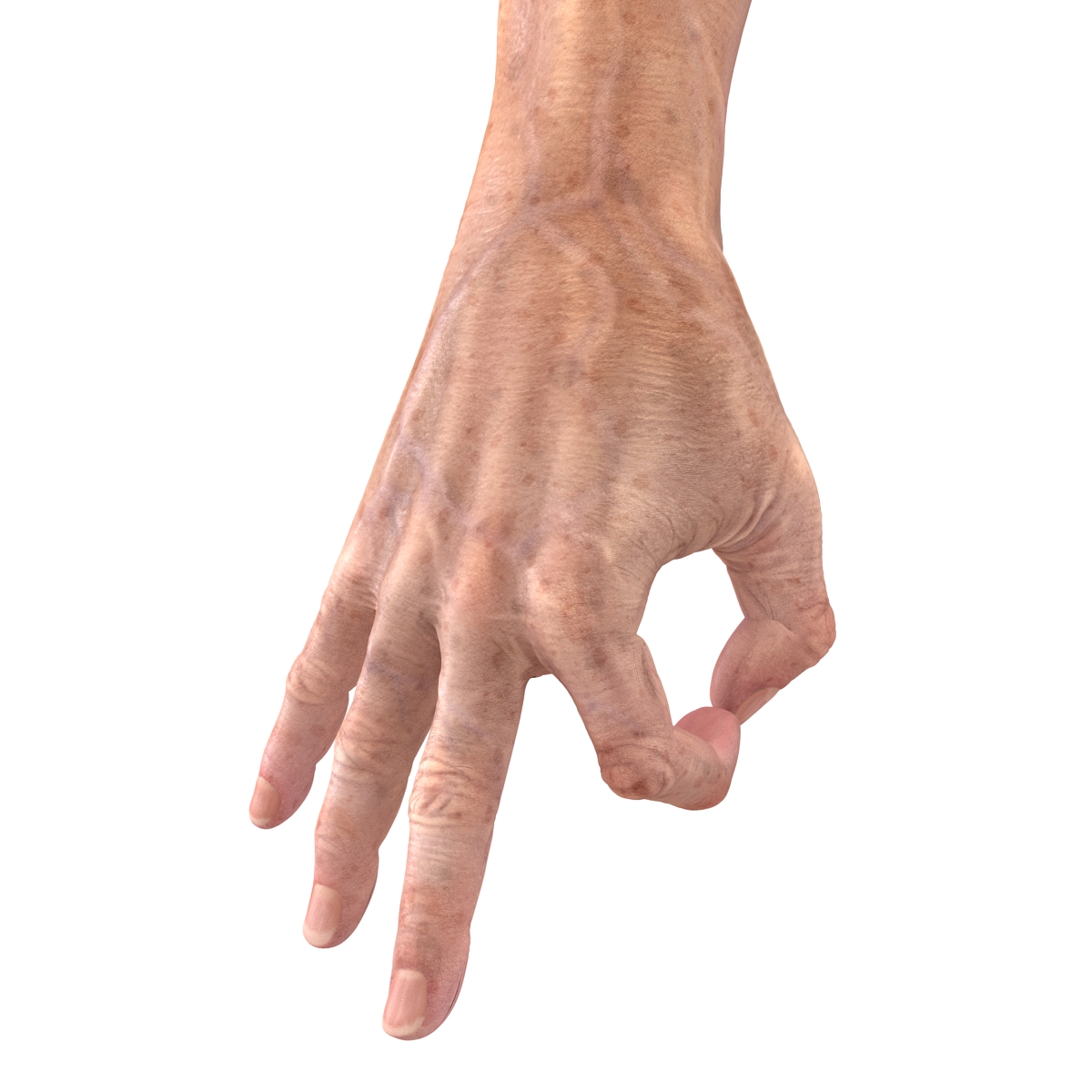 Old Man Hands 3 Rigged 3D