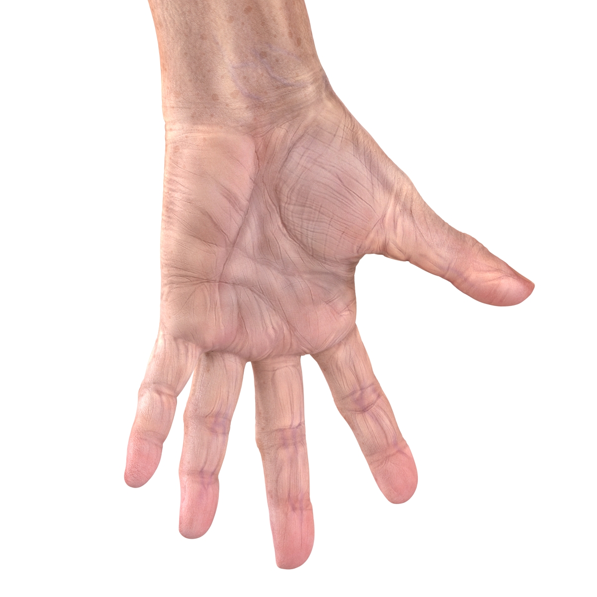 Old Man Hands 3 Rigged 3D