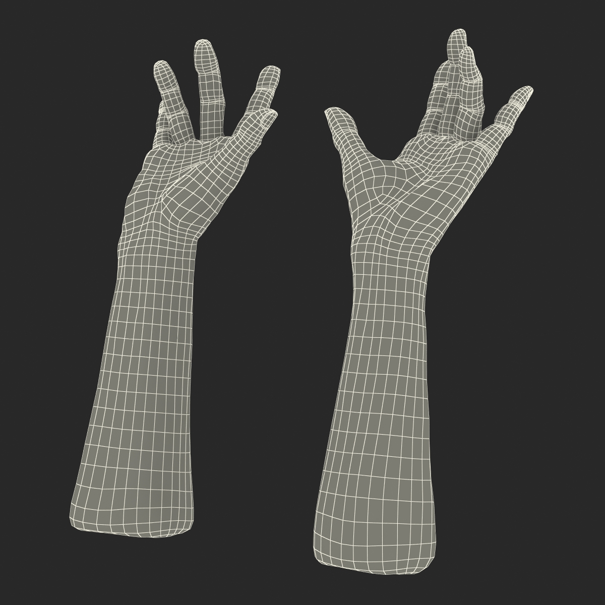 Old Man Hands 3 Rigged 3D