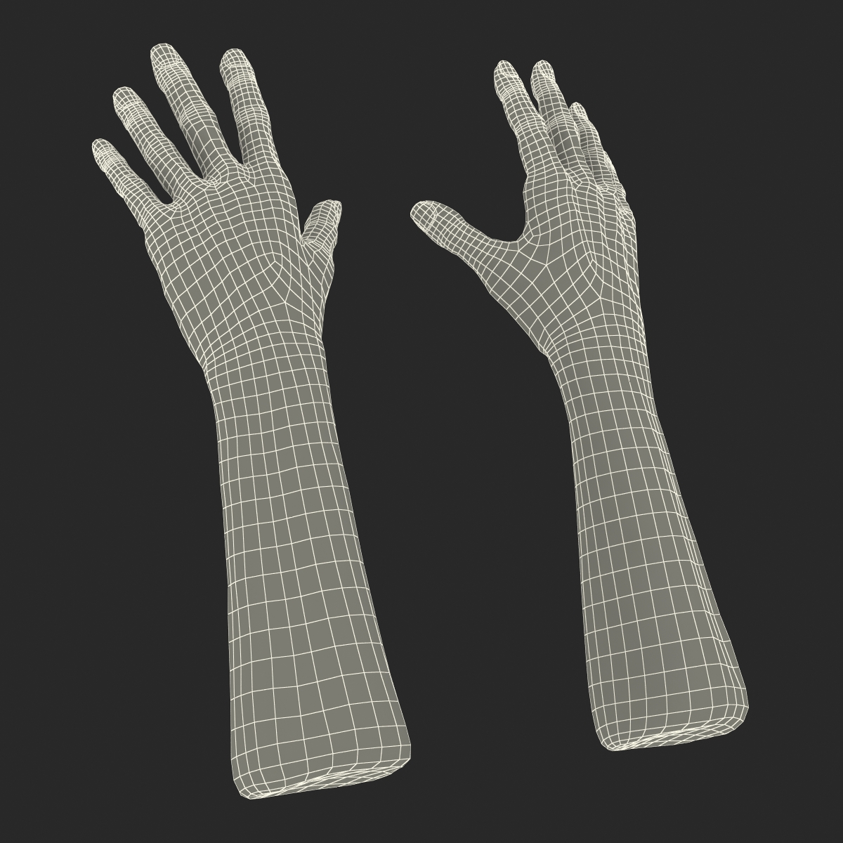 Old Man Hands 3 Rigged 3D