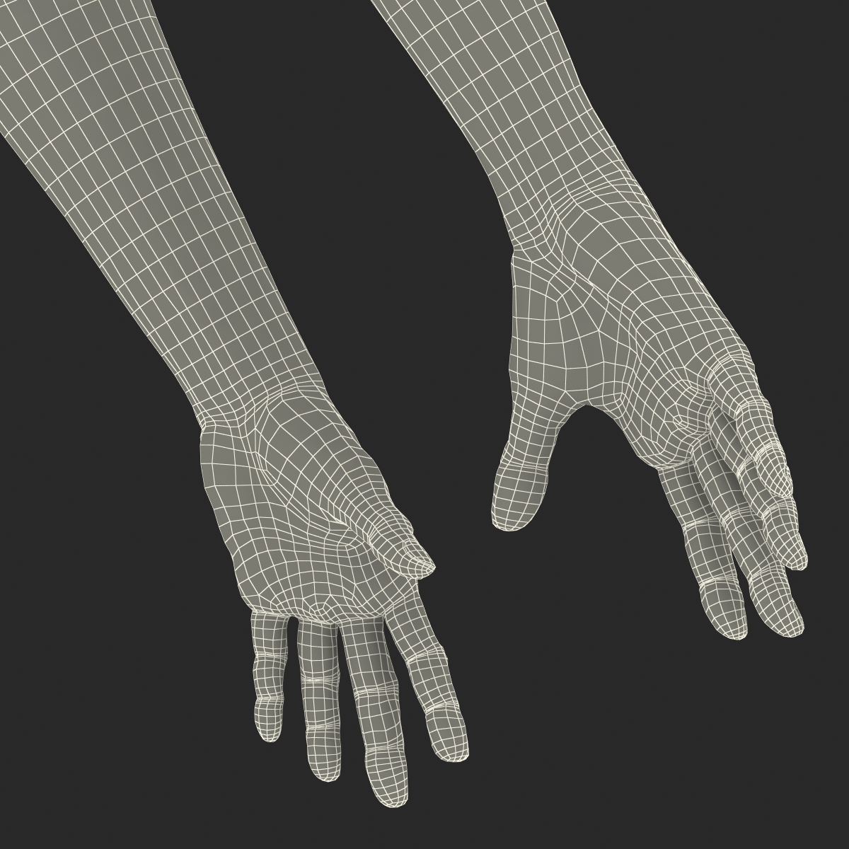 Old Man Hands 3 Rigged 3D