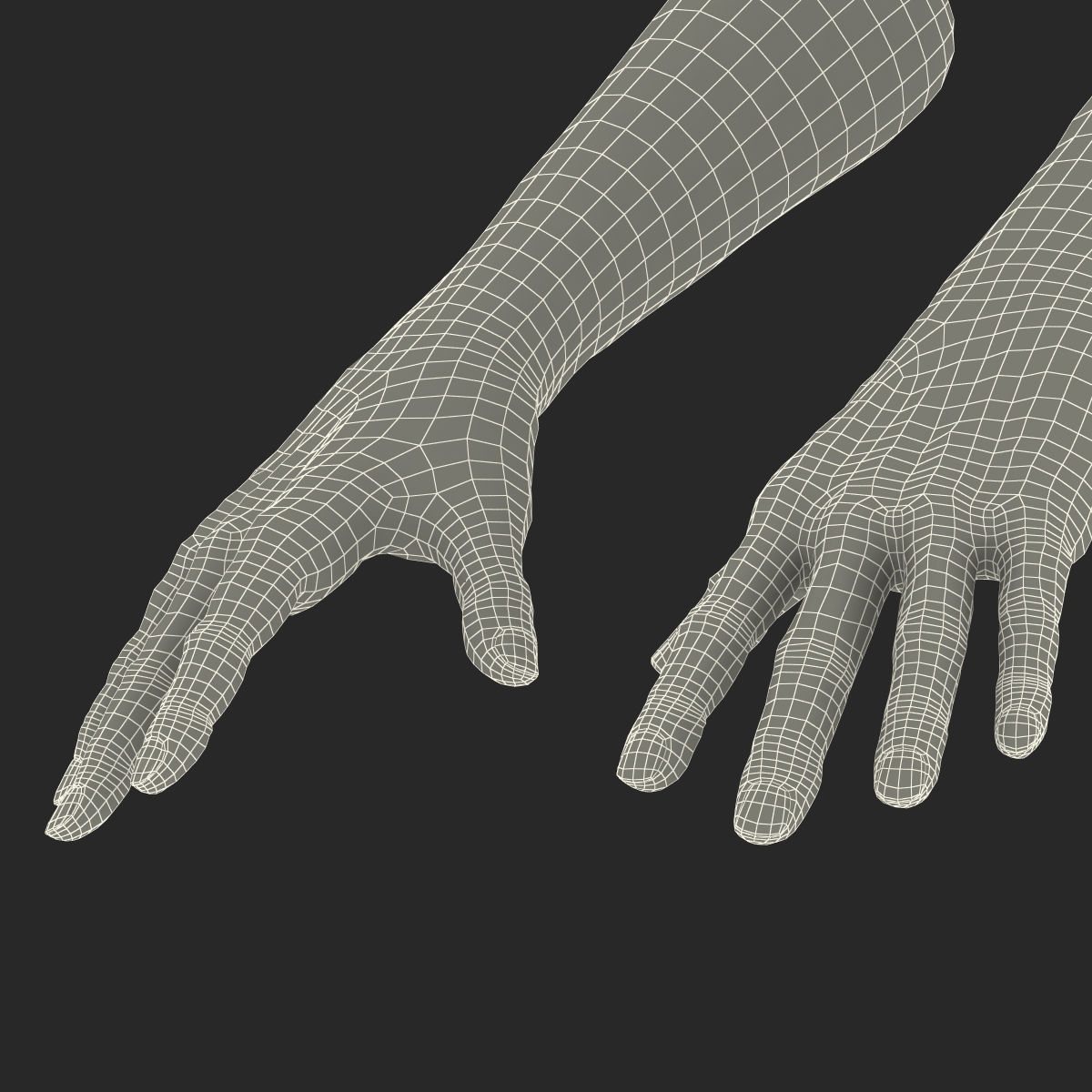 Old Man Hands 3 Rigged 3D