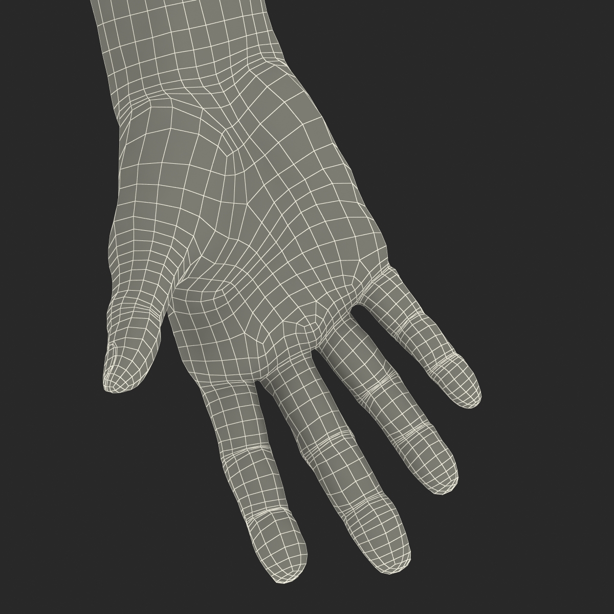 Old Man Hands 3 Rigged 3D