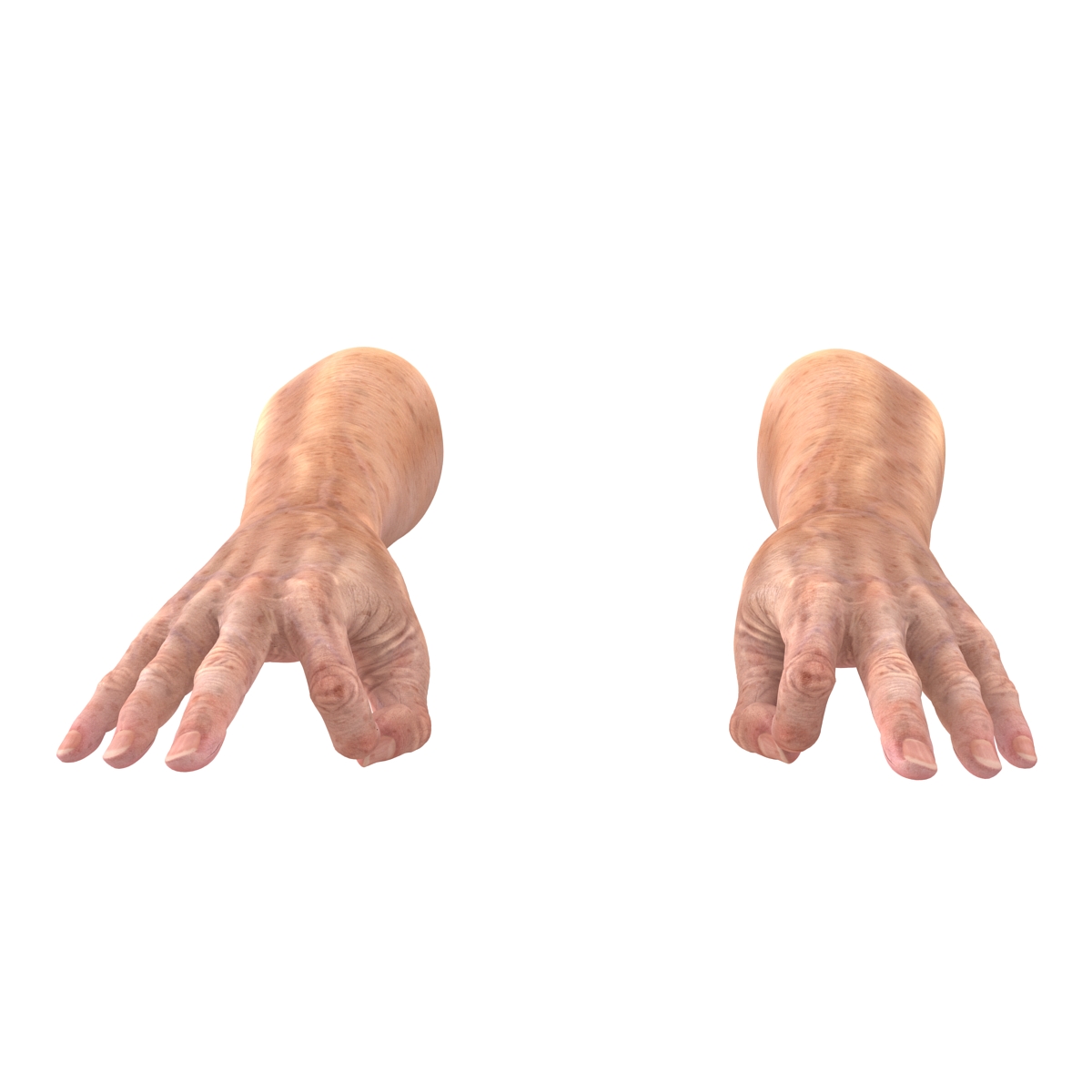 Old Man Hands 3 Pose 5 3D