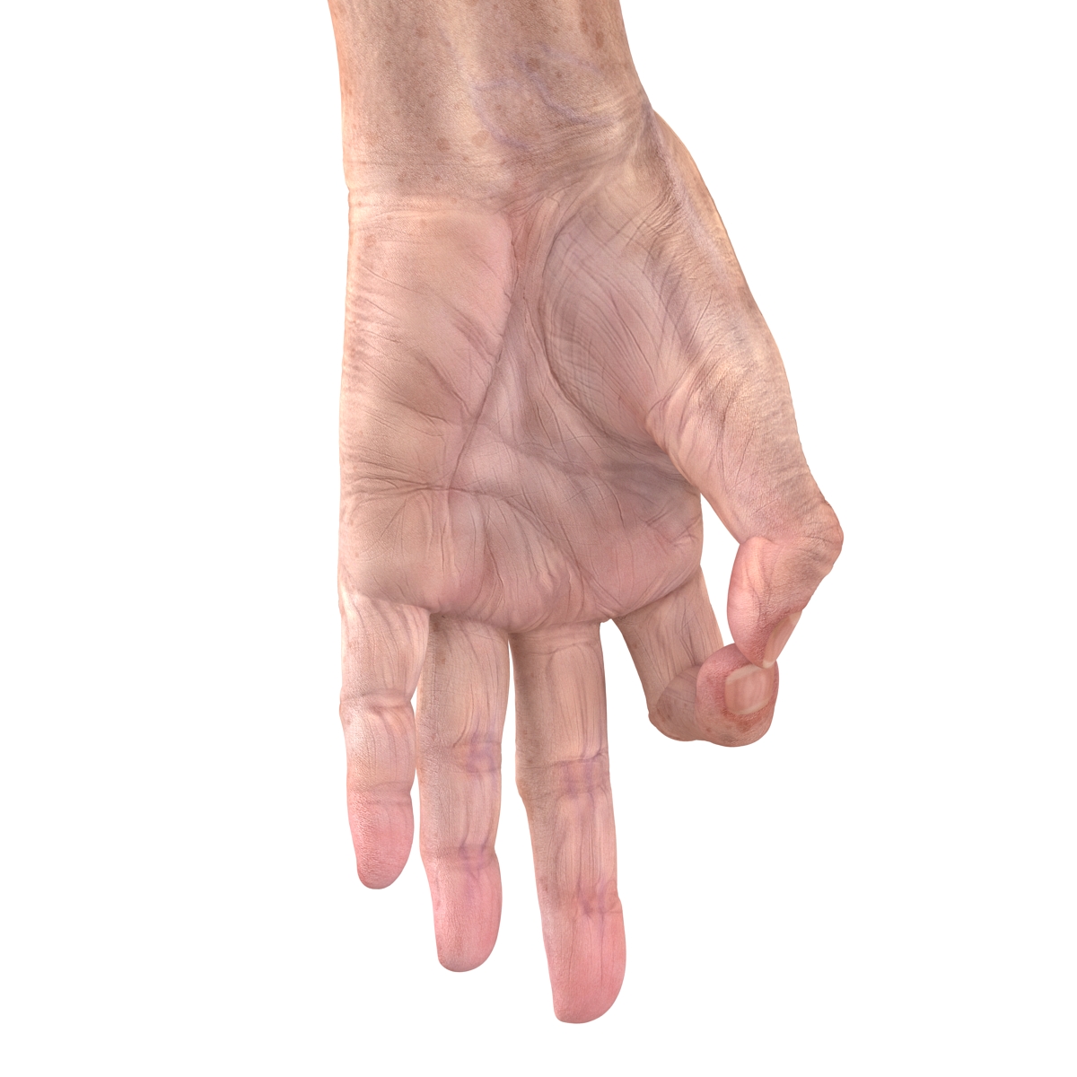 Old Man Hands 3 Pose 5 3D