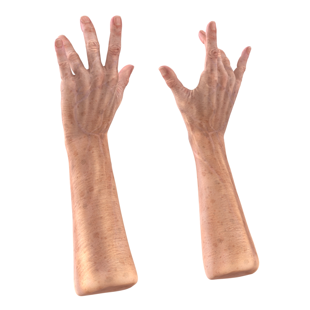 Old Man Hands 3 Pose 3 3D