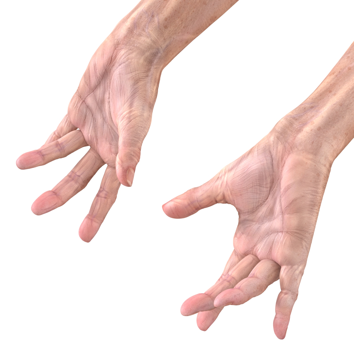 Old Man Hands 3 Pose 3 3D