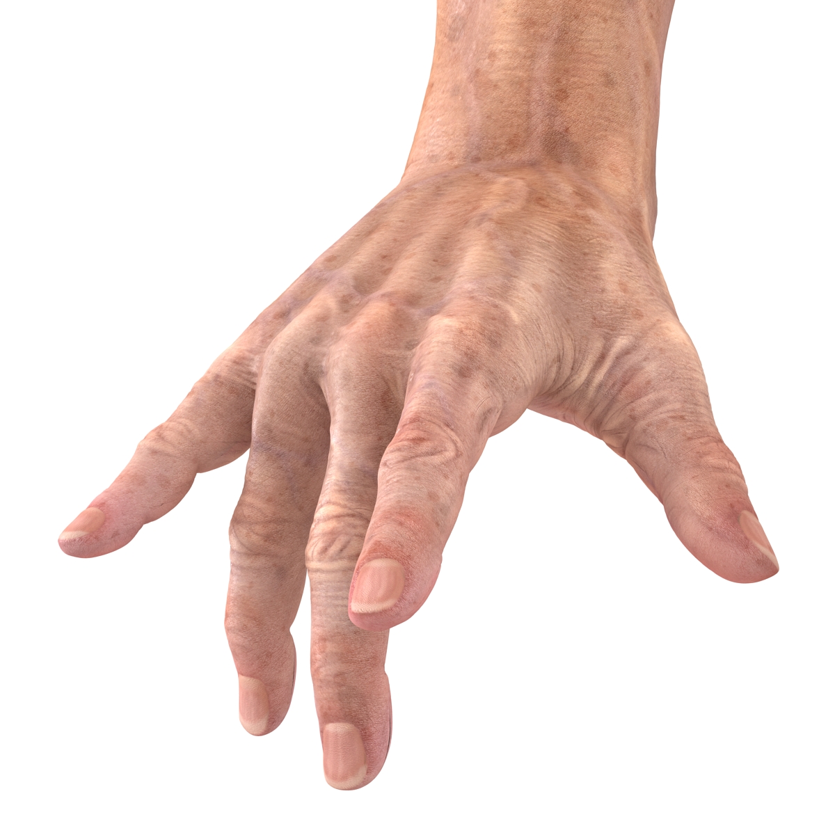 Old Man Hands 3 Pose 3 3D