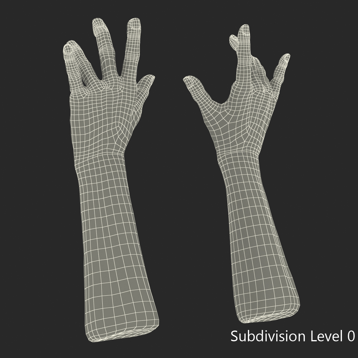 Old Man Hands 3 Pose 3 3D