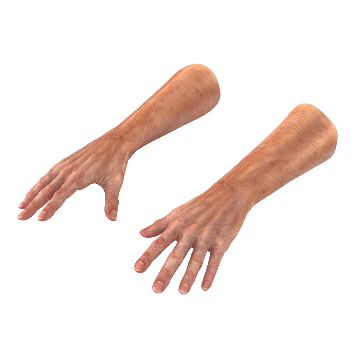 3D model Old Man Hands 2