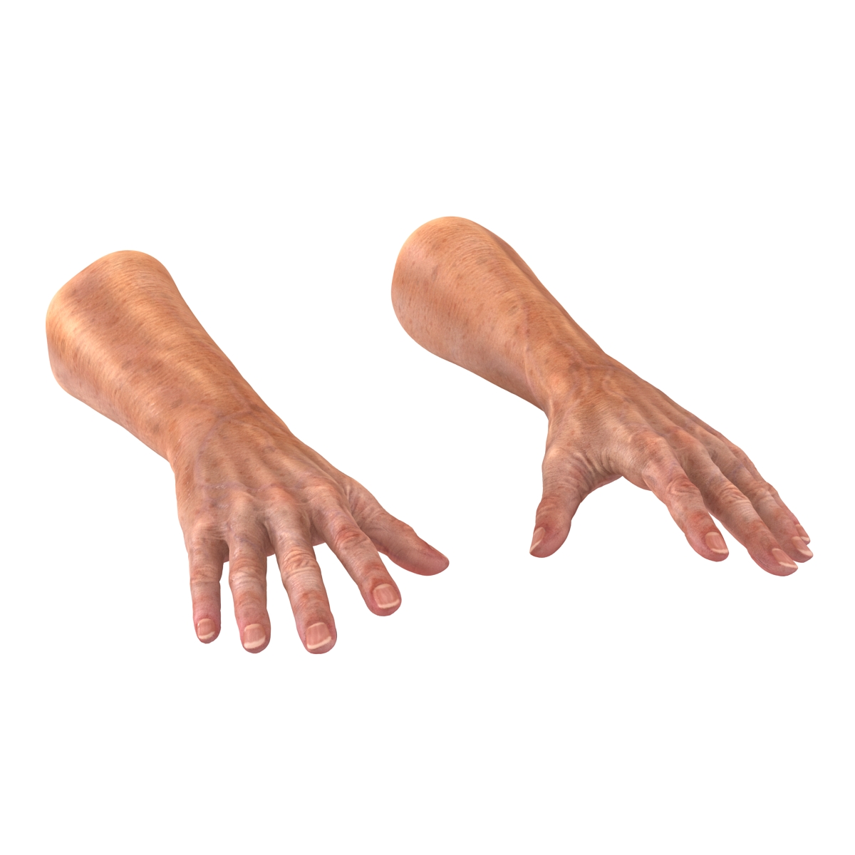 3D model Old Man Hands 2