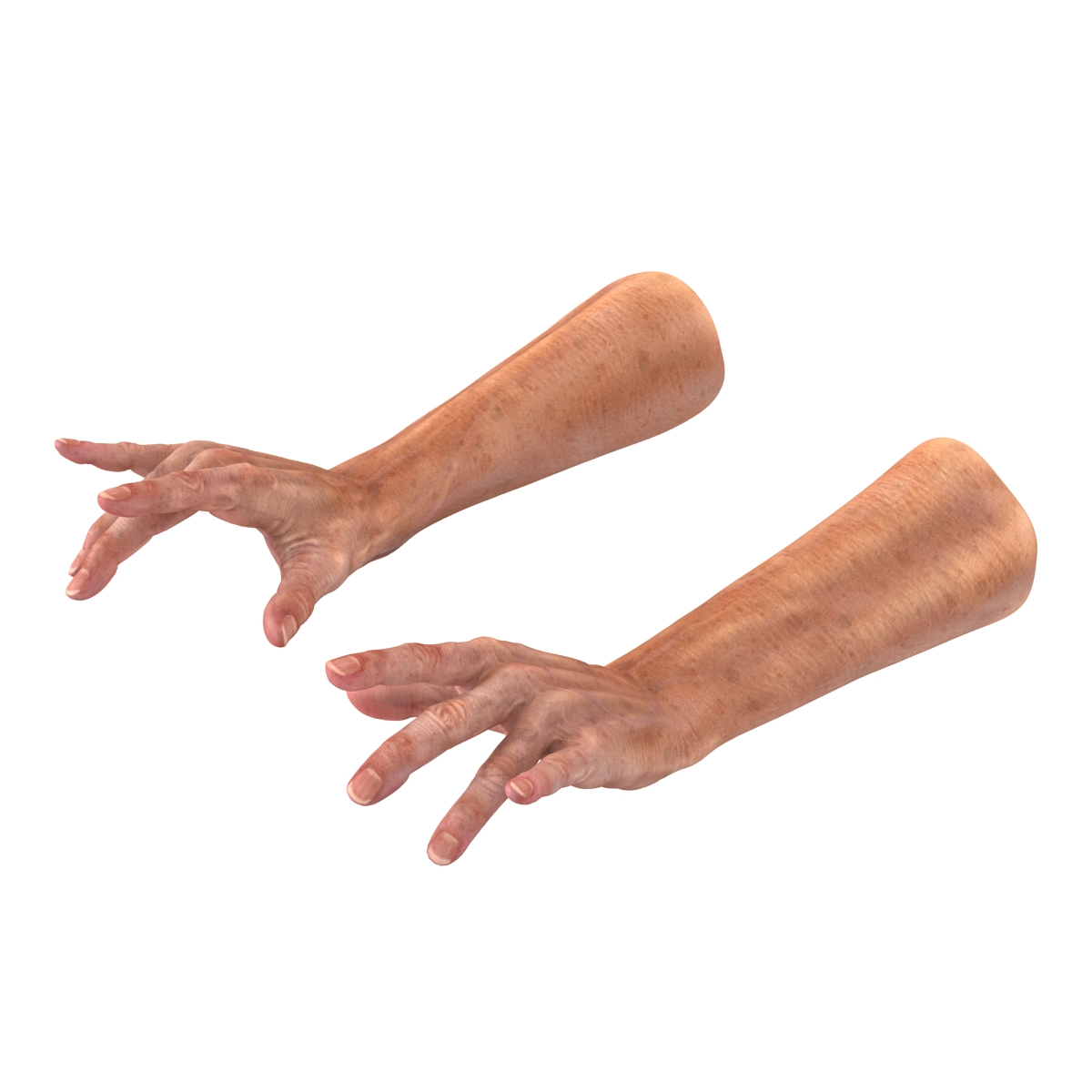 Old Man Hands 2 Rigged 3D