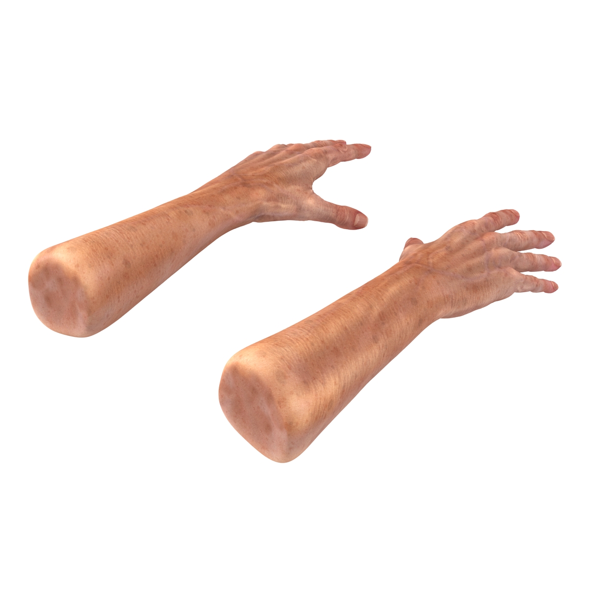 Old Man Hands 2 Rigged 3D