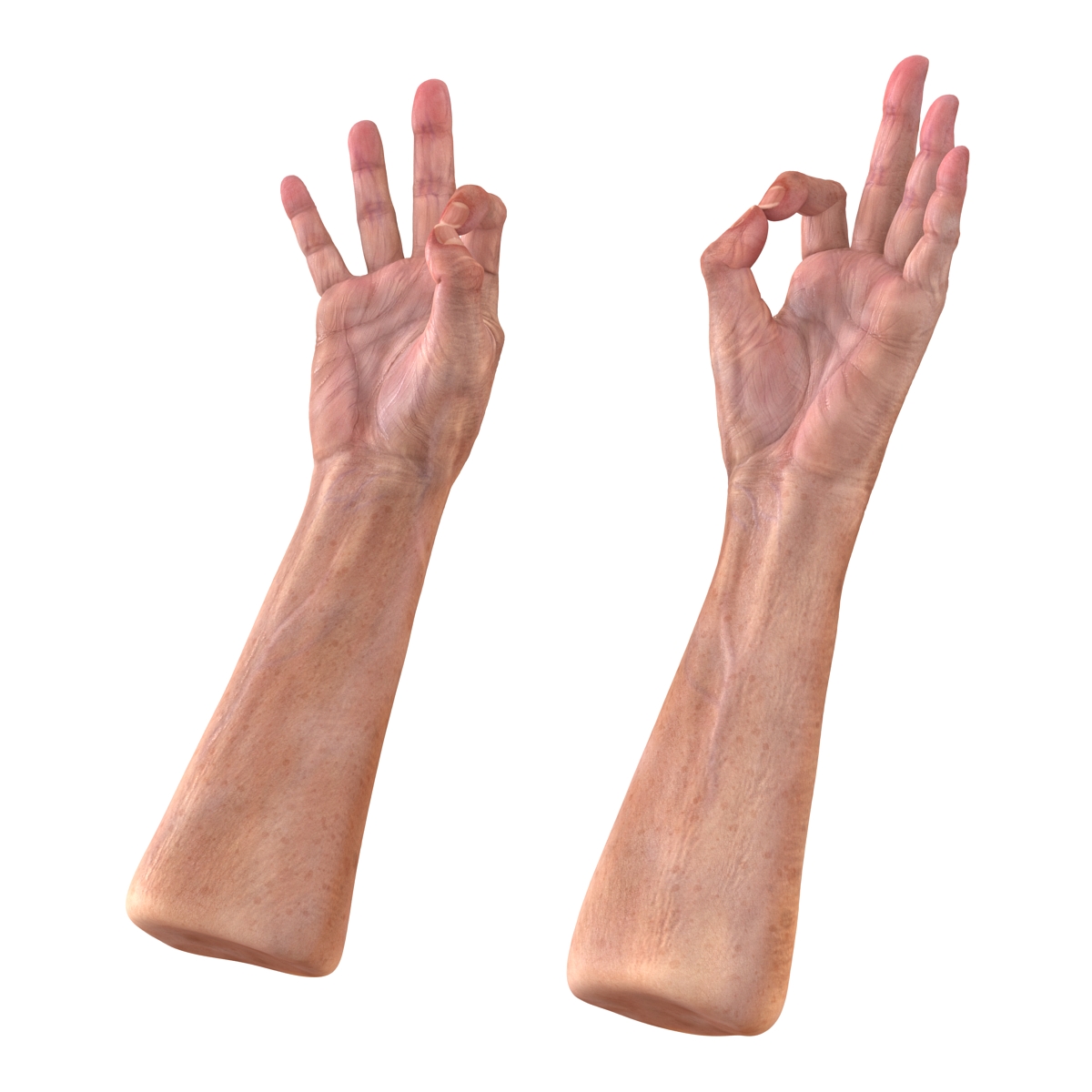 Old Man Hands 2 Rigged 3D