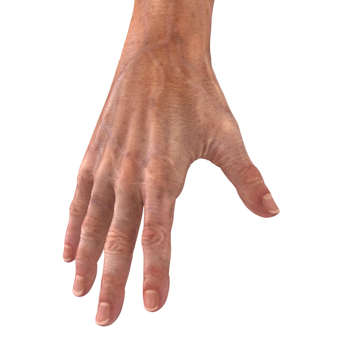 Old Man Hands 2 Rigged 3D