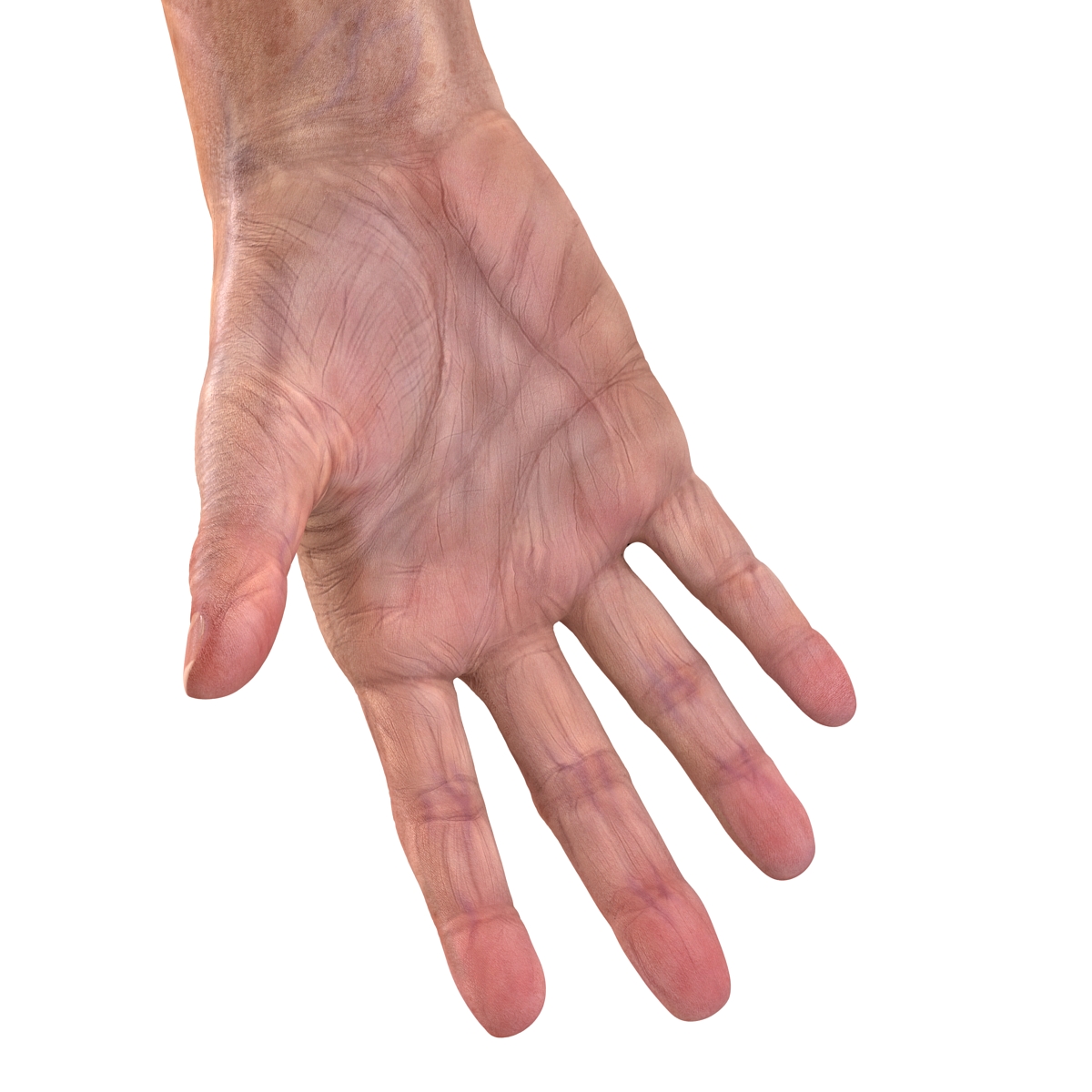 Old Man Hands 2 Rigged 3D