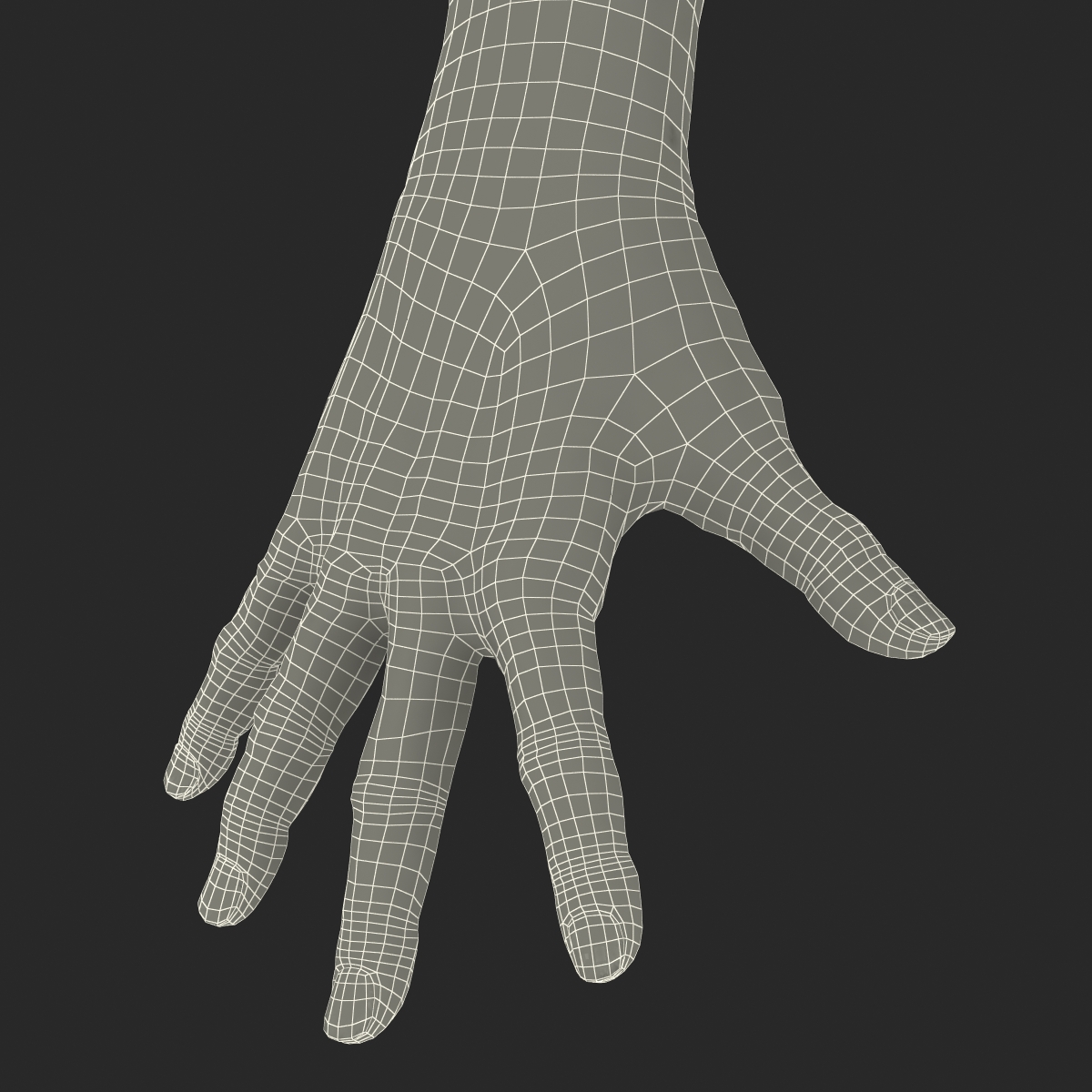 Old Man Hands 2 Rigged 3D