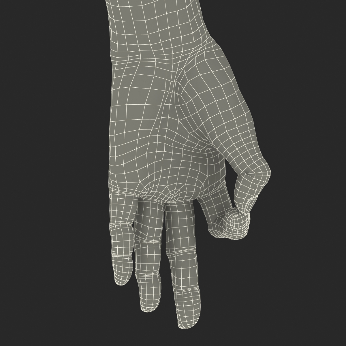 Old Man Hands 2 Rigged 3D