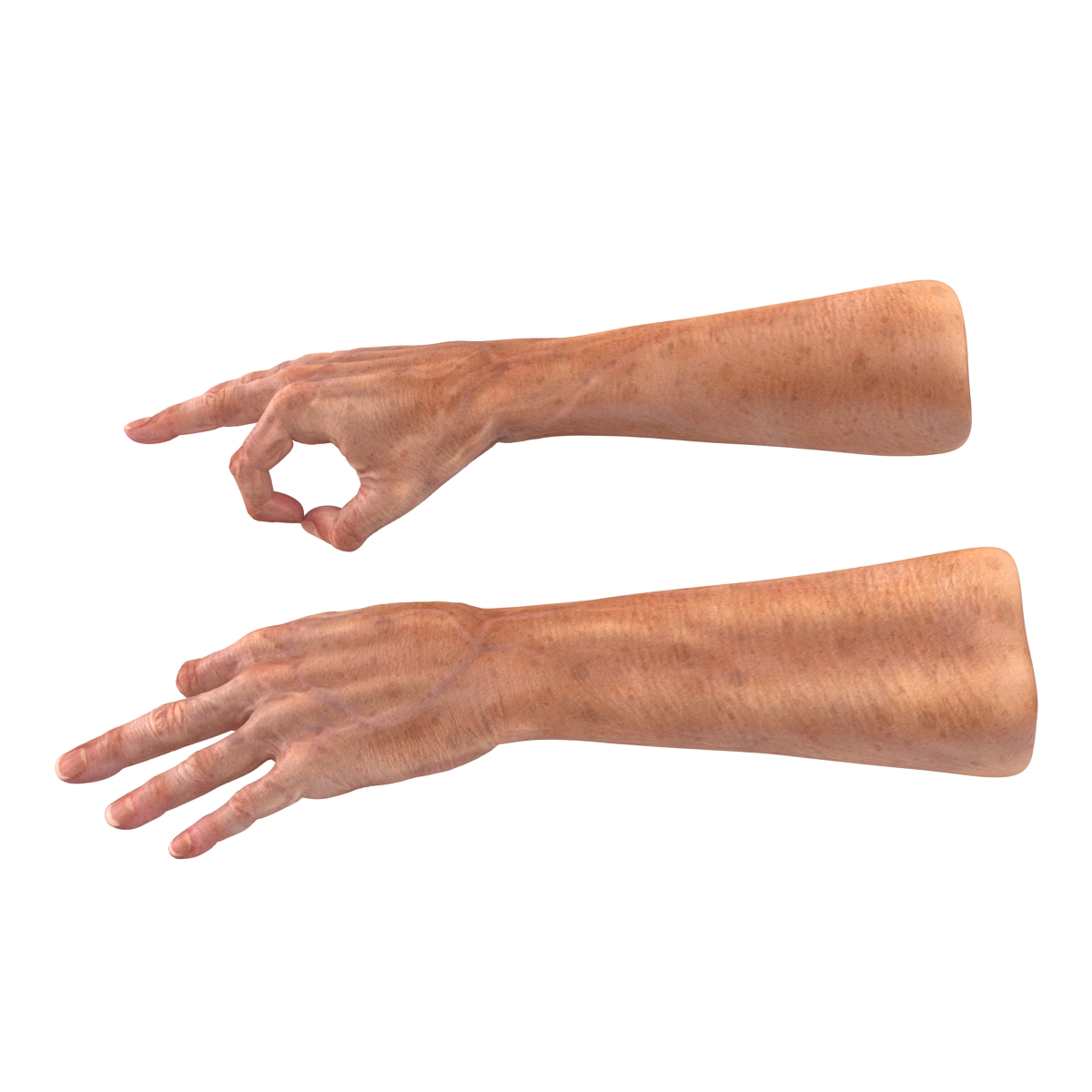 Old Man Hands 2 Pose 5 3D