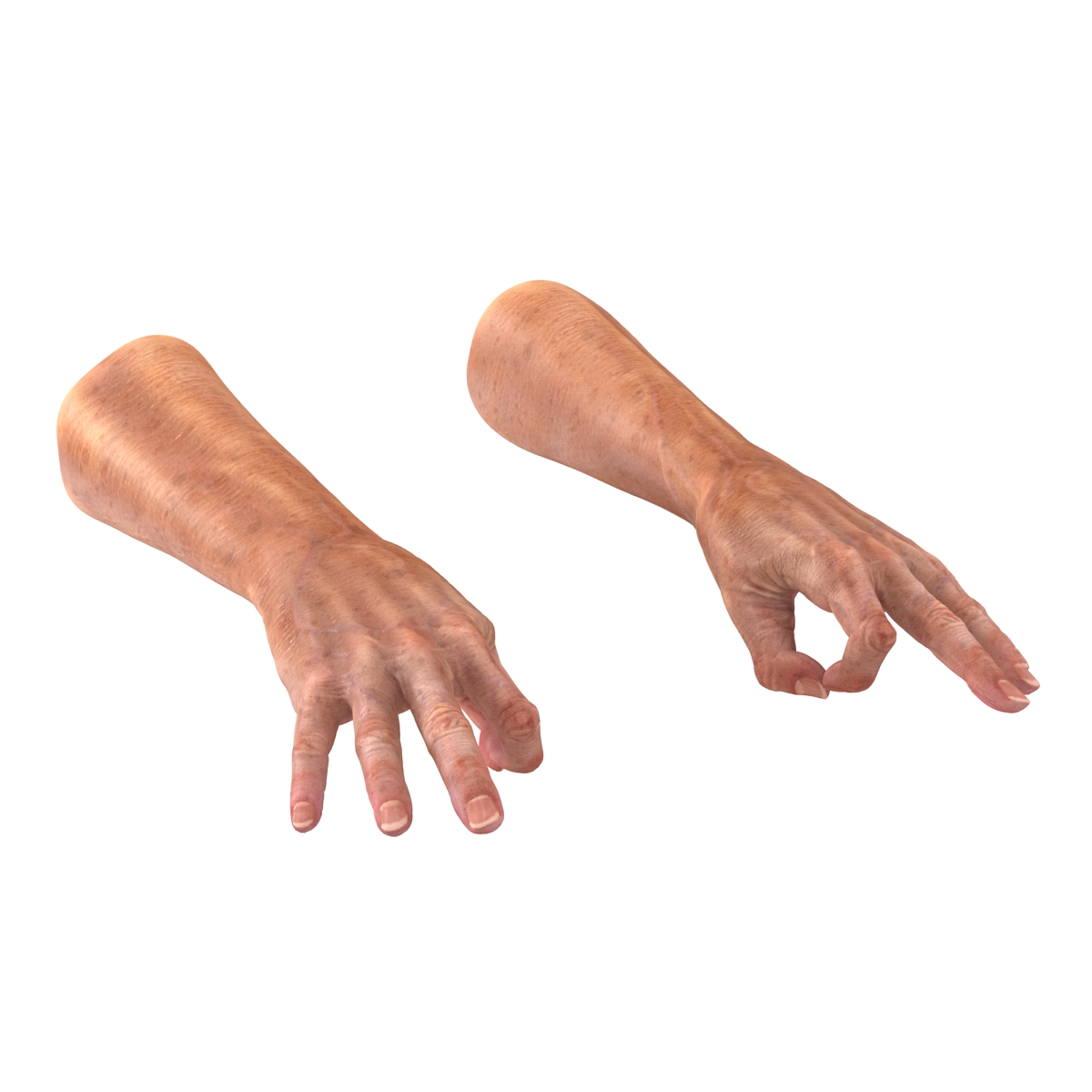 Old Man Hands 2 Pose 5 3D