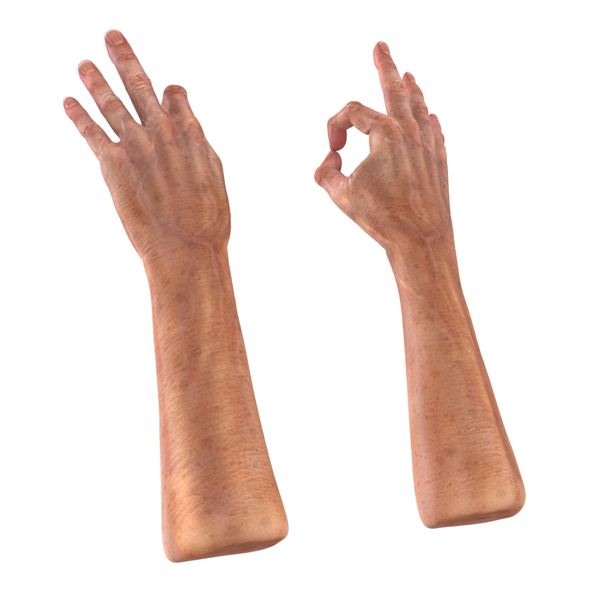 Old Man Hands 2 Pose 5 3D