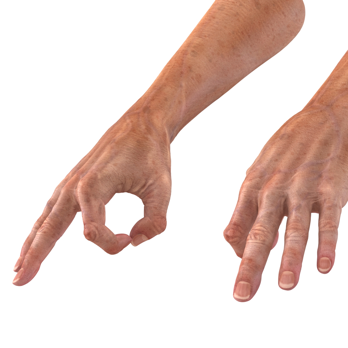 Old Man Hands 2 Pose 5 3D