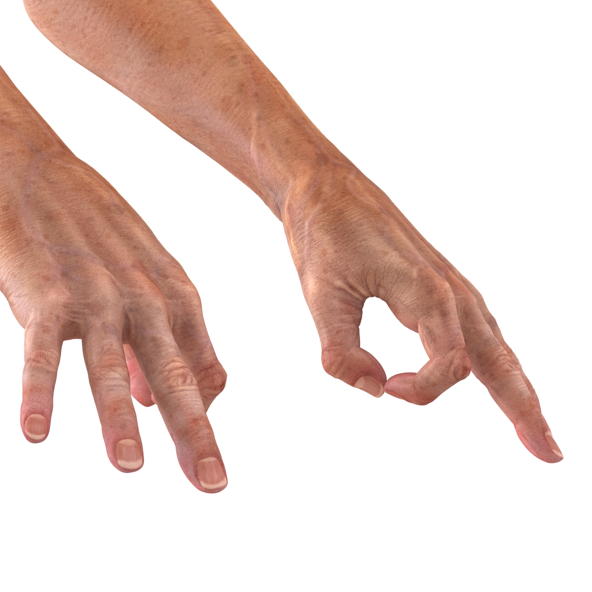 Old Man Hands 2 Pose 5 3D