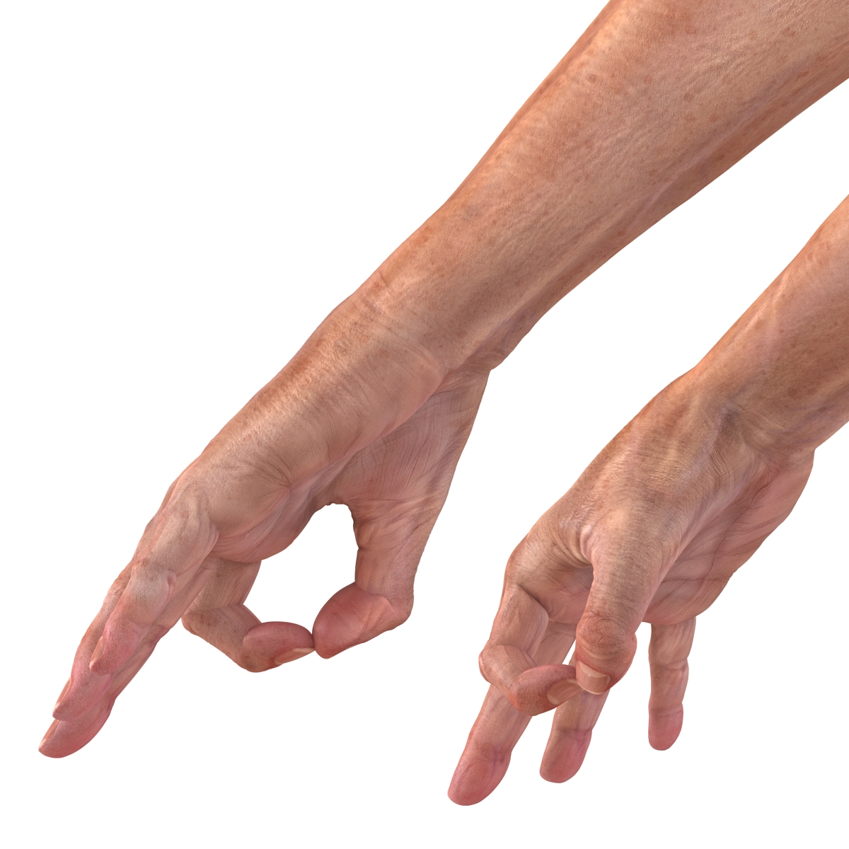 Old Man Hands 2 Pose 5 3D